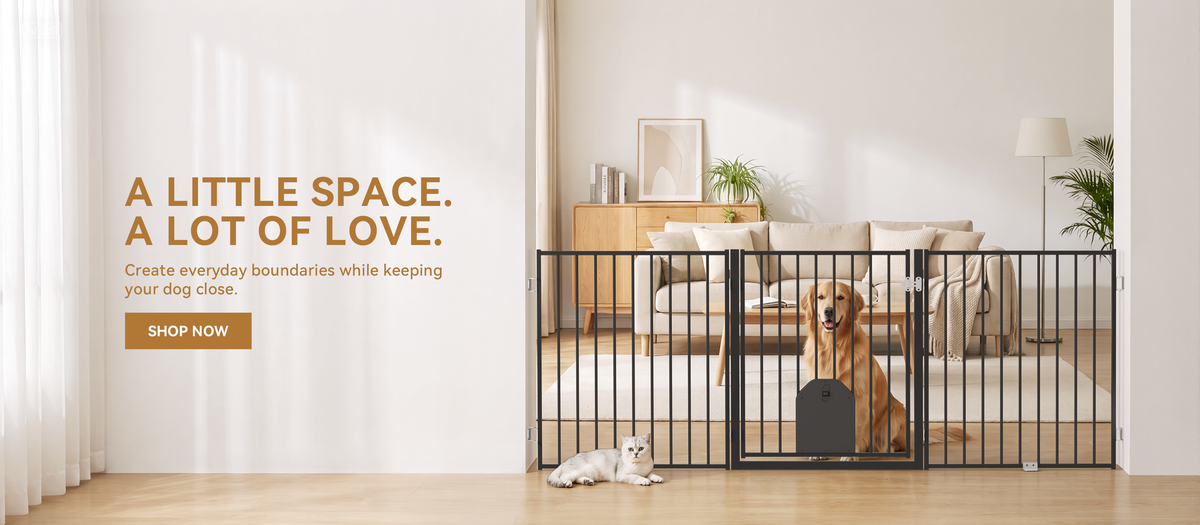 How to Choose a Dog Gate: 5 Things to Consider Before You Buy