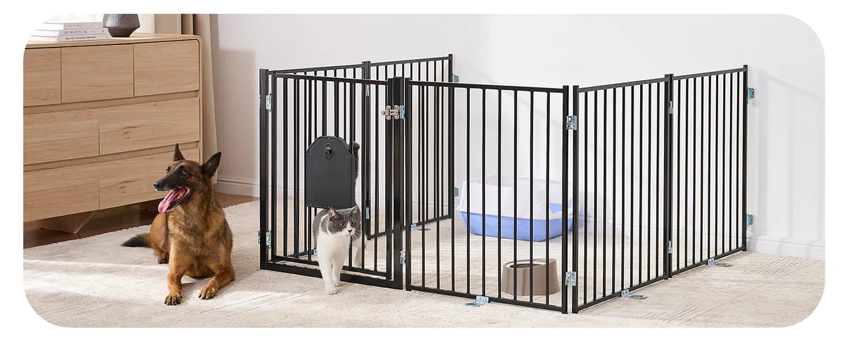 Dog and cat calmly separated by a Pawreto pet gate in a shared living room