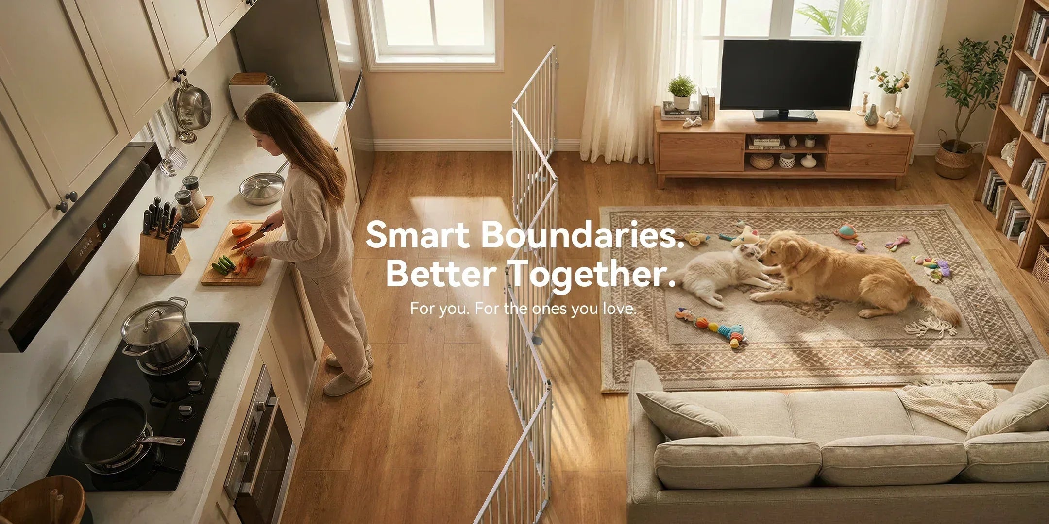 From No Pawblems to Pawreto: Why We’re Evolving the Way You Live with Your Pets