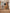 [Pre-sale] Rift CM10 Doorway Gate with Cat Door