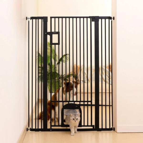 Cat_Gate_img - Pawreto