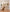 36" Tall Outdoor Dog Gate 104" Extra Wide Free Standing Dog Gate