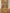 30" Tall Free Standing Dog Gate & Dog Playpen