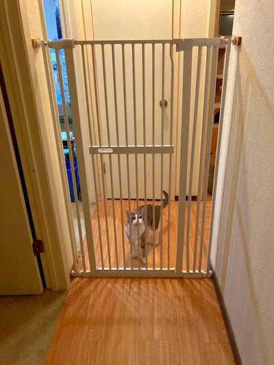 Pawreto Extra Tall Cat Gate installed in doorway with cat walking through, white safety gate for pets