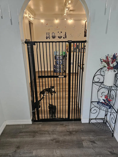 Pawreto Extra Tall Cat Gate installed in arched doorway, safely containing cats in kitchen with string lights